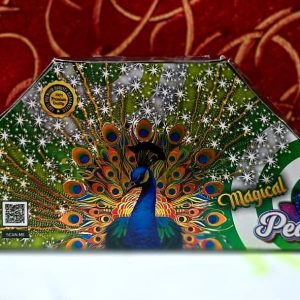 dancing peacock