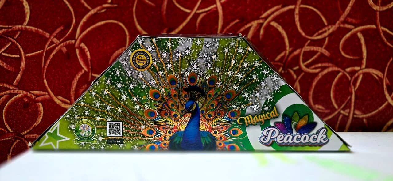 dancing peacock dancing peacock